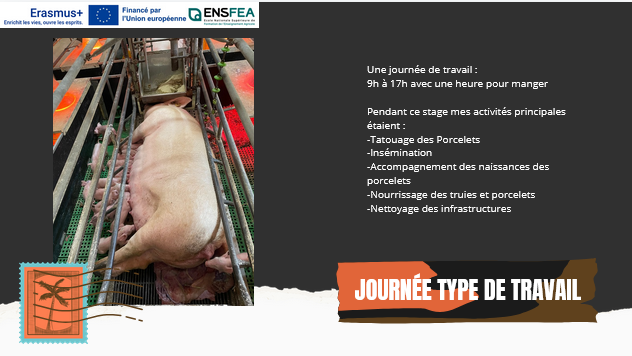 image Journe_type_de_travail.png (0.2MB)