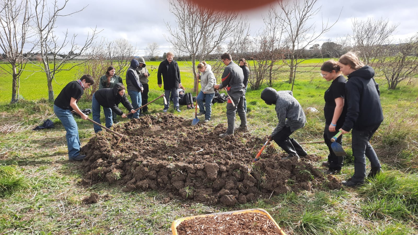 image IMG20250324WA0005.jpg (0.4MB)