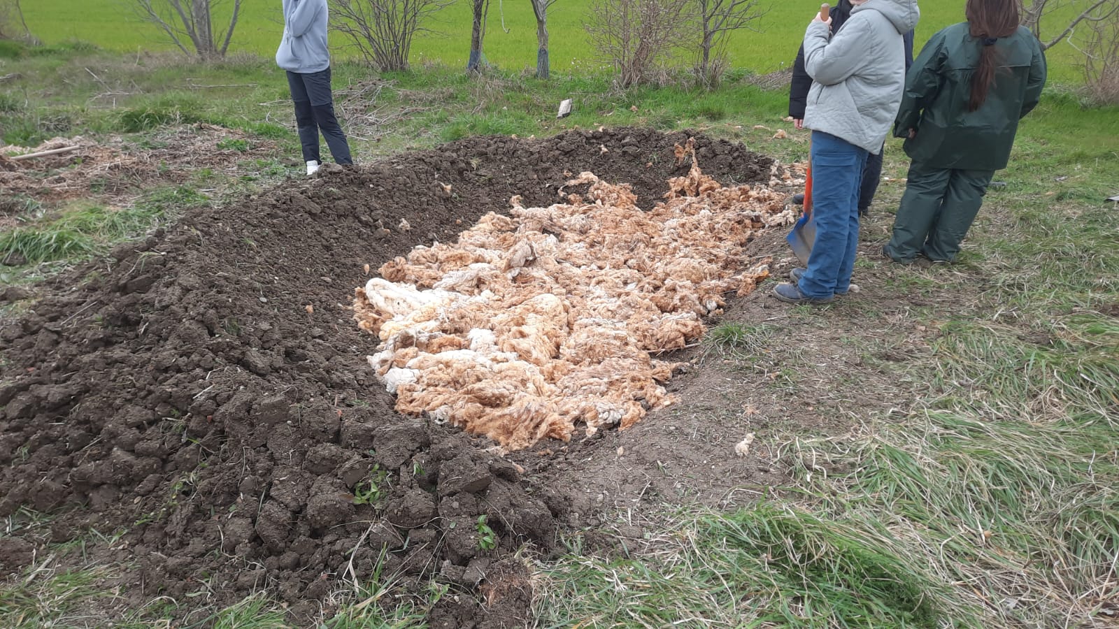 image IMG20250324WA0006.jpg (0.3MB)