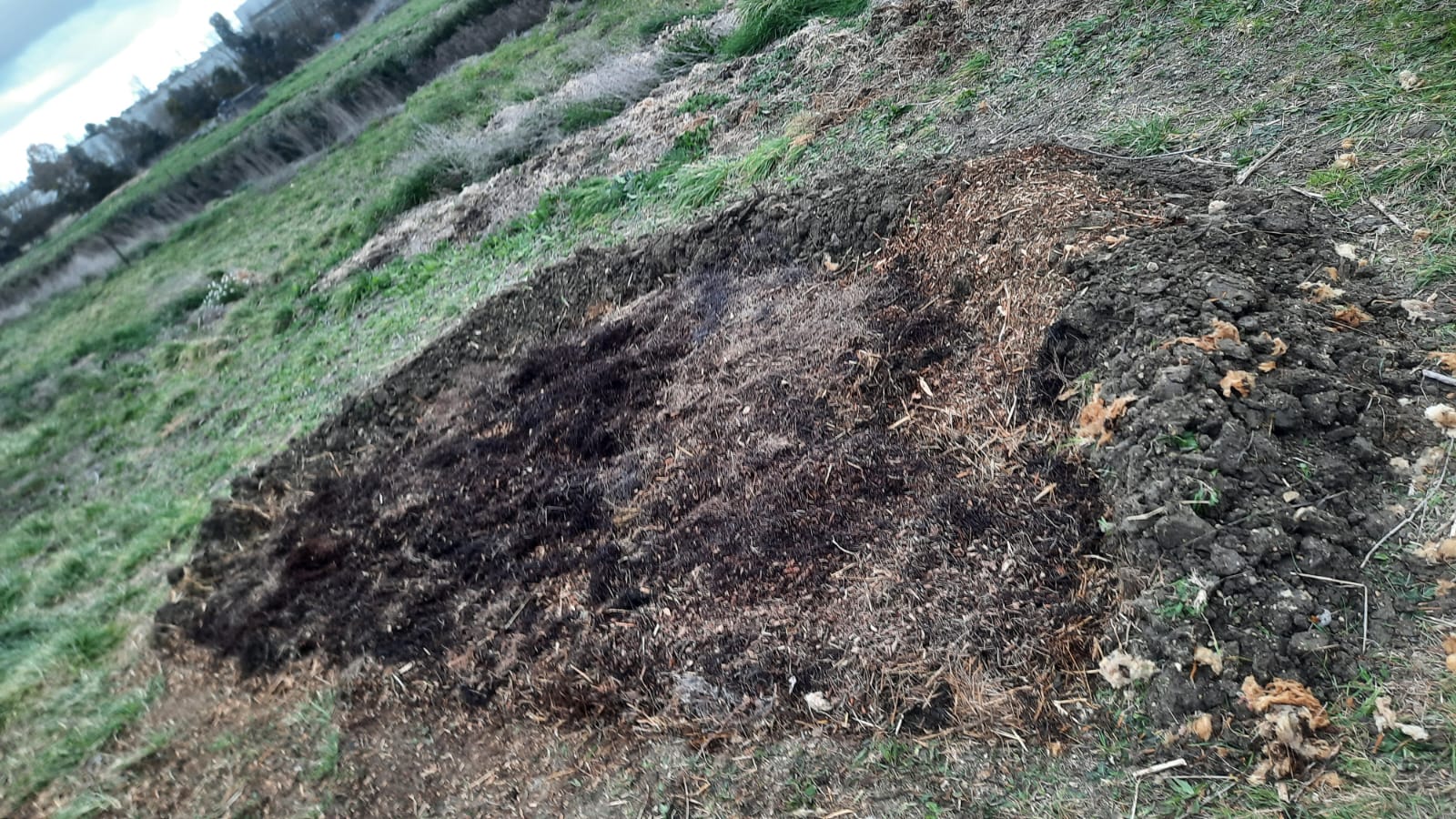 image IMG20250324WA0010.jpg (0.4MB)